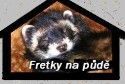 Fretky na půdě!